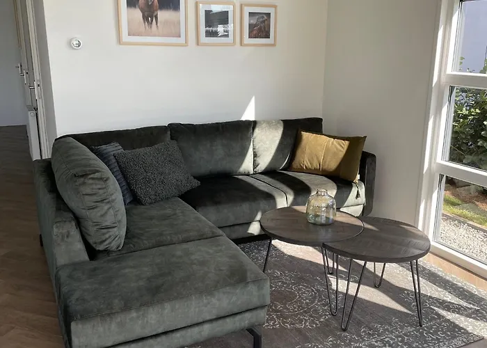 Chalet Modern With A Dishwasher In