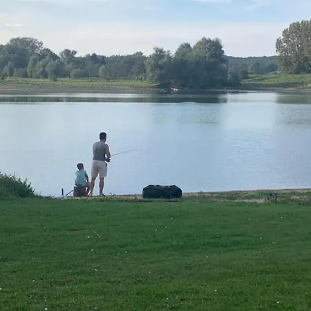 Шале Modern With A Dishwasher In