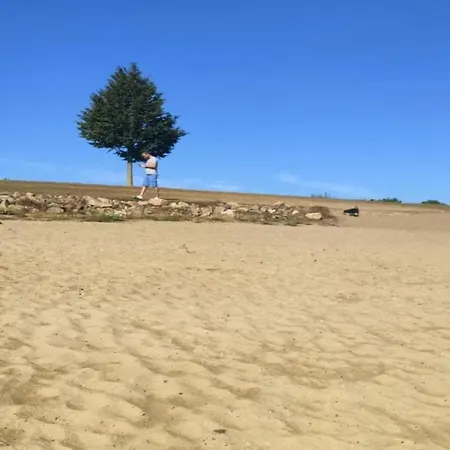 Шале Modern With A Dishwasher In *